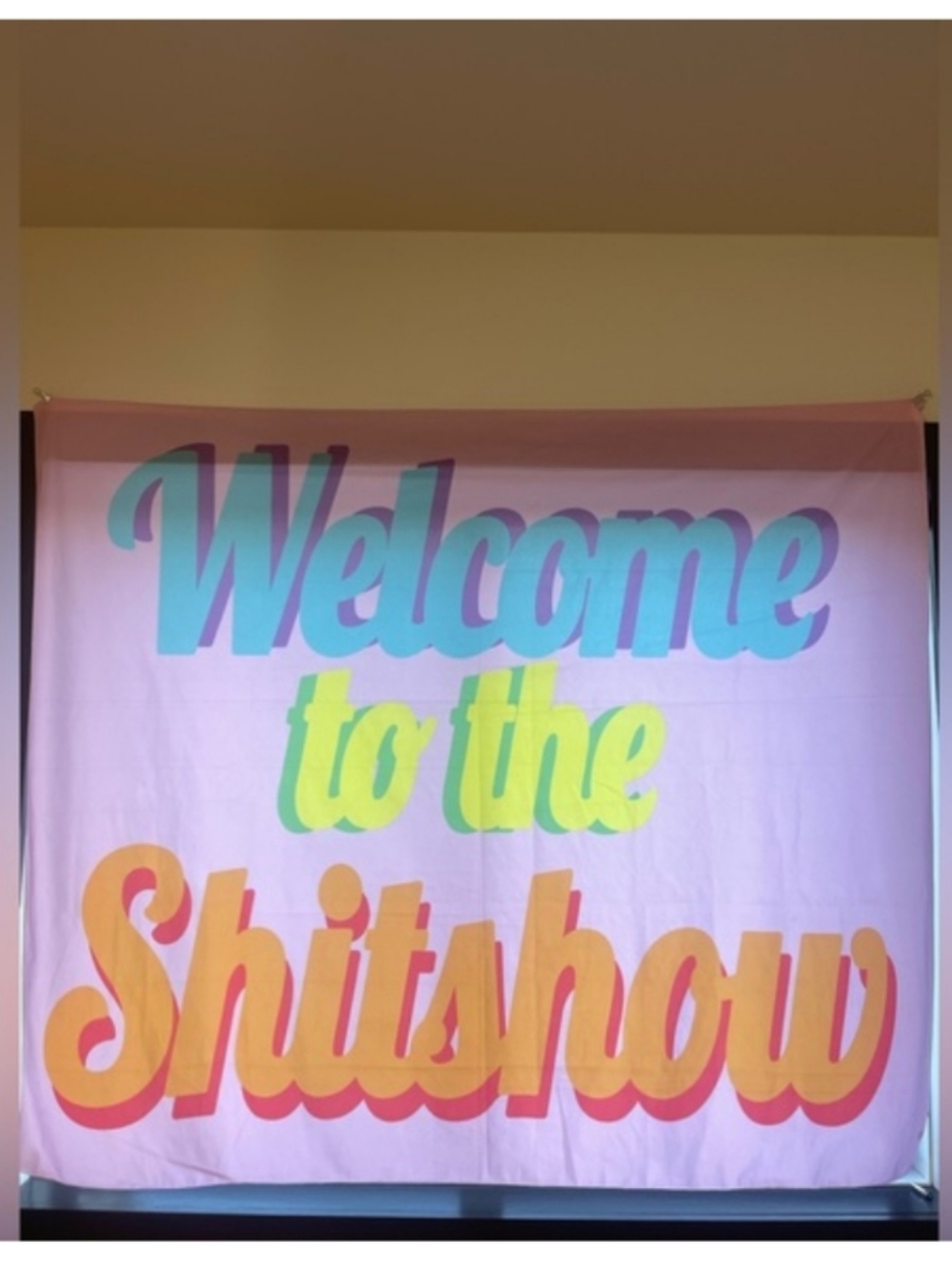Welcome to the Shitshow Colorful Wall Tapestry
